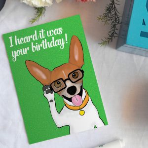 Jack Russell Dog Teal Box