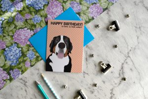Bernese Mountain Dog Birthday