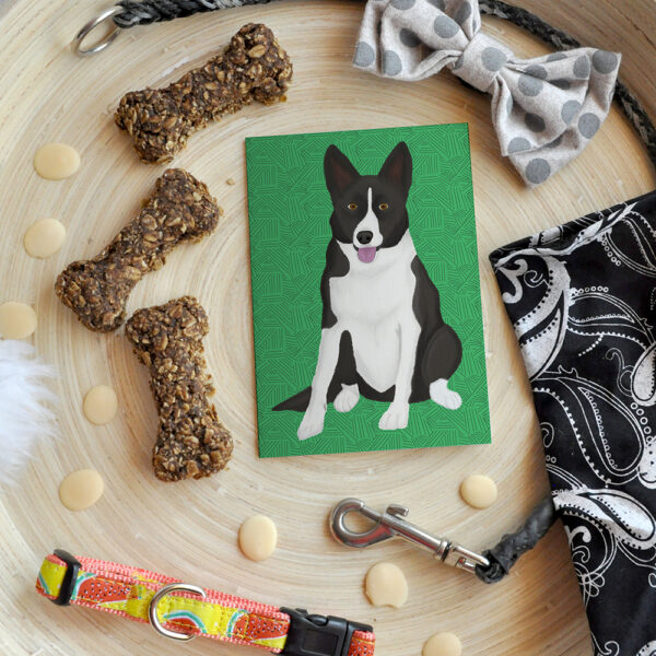 Border Collie Layla 1