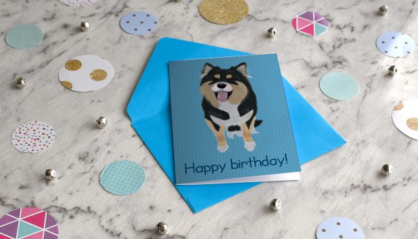 Lapphund Zoey Blue Birthday Card