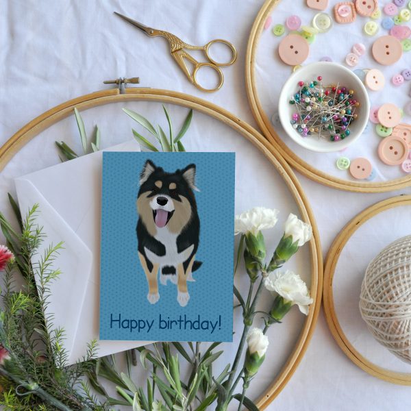 Lapphund Zoey Blue Birthday Card
