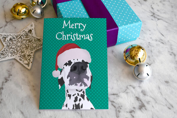 A Christmas card featuring a close up of a Dalmatian's face while wearing a Santa hat, leaning against a gift.