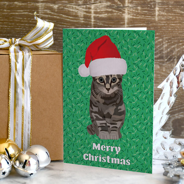 Tabby Cat Pinot Christmas 1