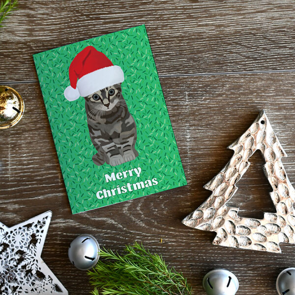 Tabby Cat Pinot Christmas Card 4
